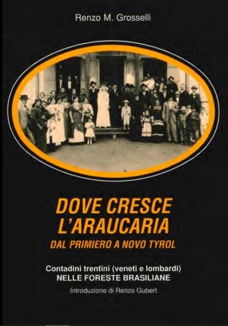 Immagine: Dove cresce l'araucaria. Dal Primiero a Novo Tyrol: Paranà 1874-1940 Contadini trentini (veneti e lombardi) nelle foreste brasiliane