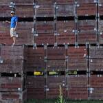 Immagine: 10_Luisa Pedron Paoli_strumenti di lavoro