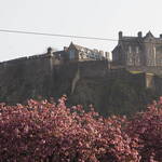 Immagine: 10_Noemi Lavorato_l