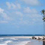 Immagine: 11_Anna Pegoretti_spiaggia3