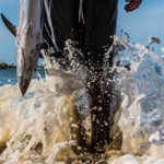 Immagine: 11_Antonello Veneri_foto 11