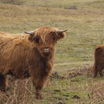 Immagine: 11_Noemi Lavorato_m