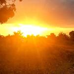 Immagine: 13_Fabiana Pompermaier_Uganda, ottobre 2018