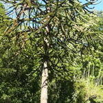 Immagine: 1_Alessandro Livio_parco