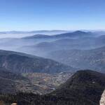 Immagine: 1_Federica Riccadonna_Panchok