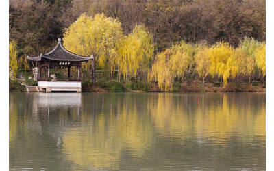 Immagine: 1_Gianluca Paolazzi_ Jiangsu Yangzhou