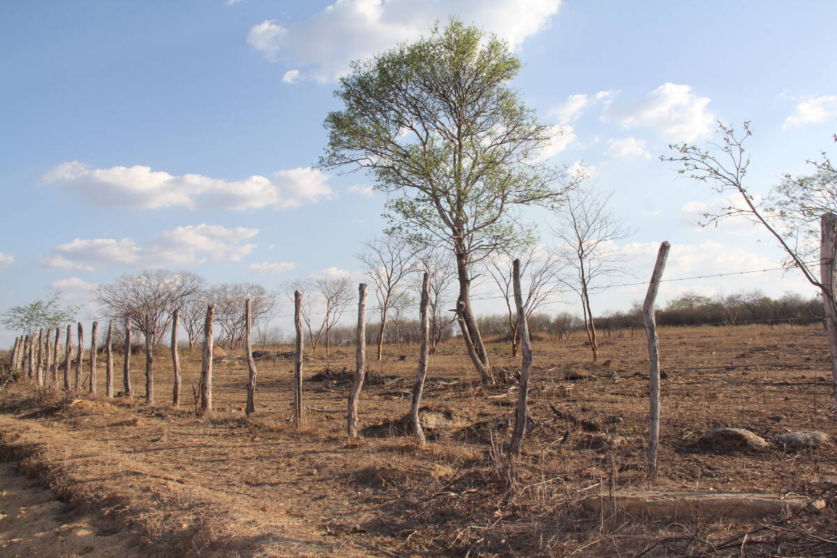 Immagine: 1_IMG_5018