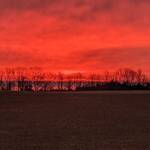 Immagine: 1_Luisa Pedron Paoli_campi