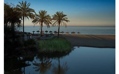 Immagine: 1_Marbella_pixabay