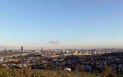 Immagine: 1_Marco Chistè_Vienna