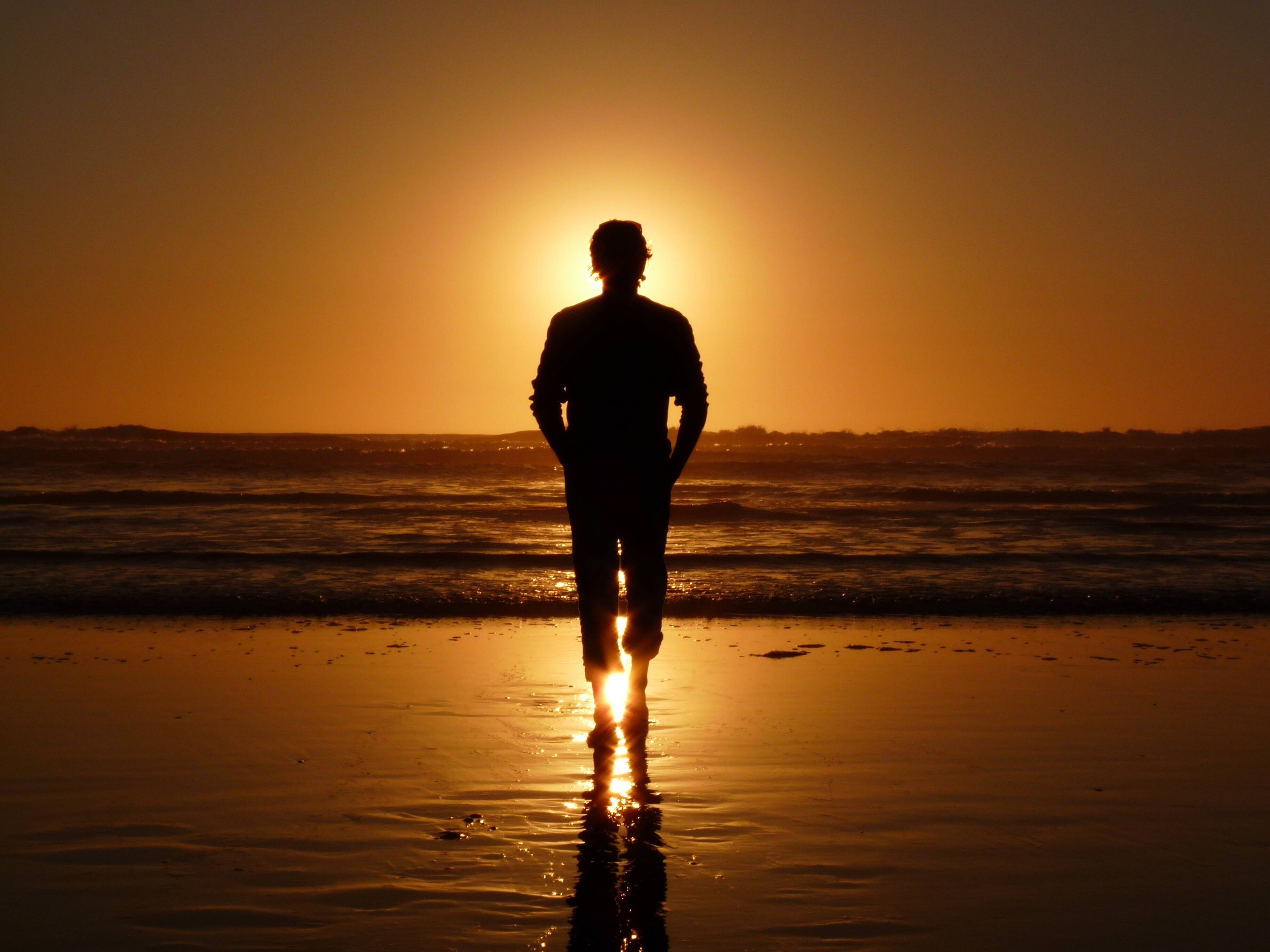 Immagine: 1_Massimiliano de Zambotti_California