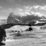 Immagine: 1_Mirko Santuari_ Mirko tra le montagne trentine