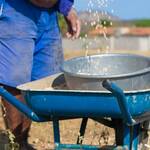 Immagine: 1_Monica Bonadiman_nei campi