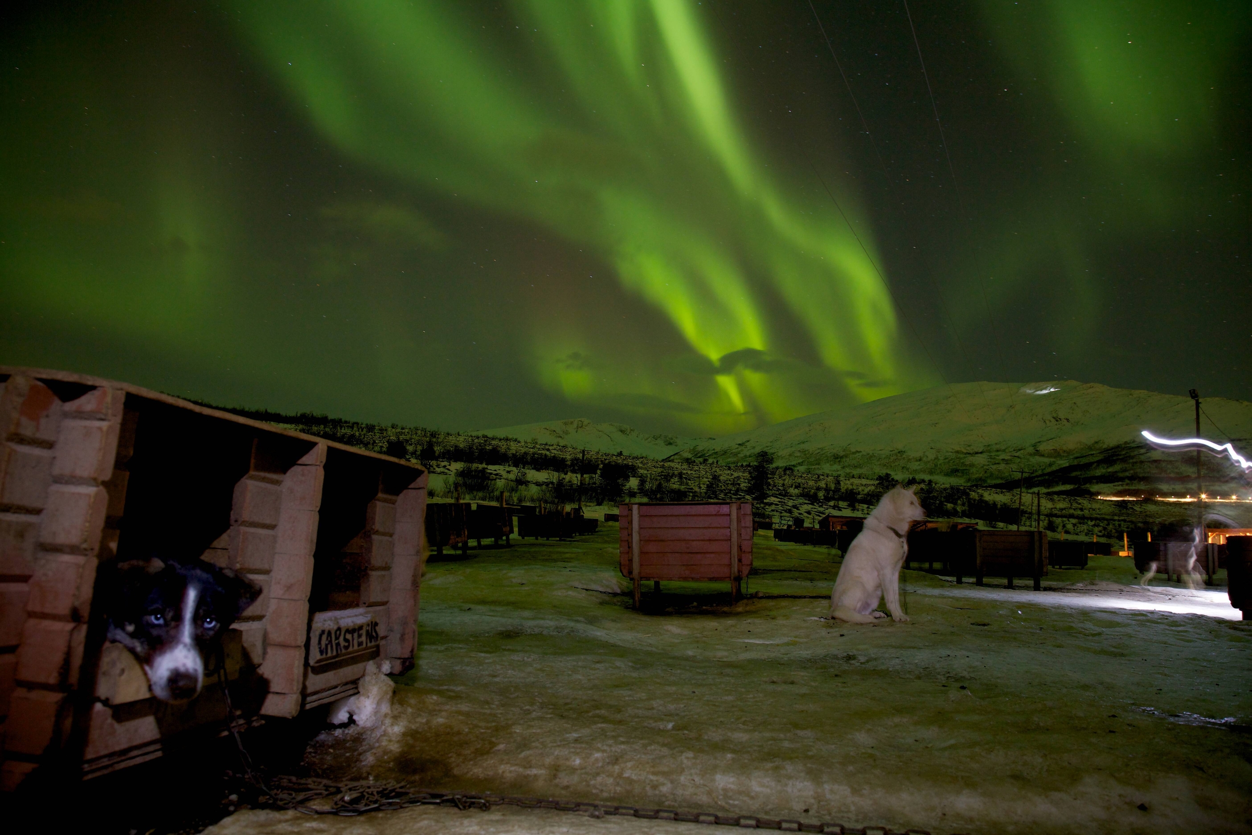Immagine: 1_Nicola Sperandio_Aurora Boreale in Norvegia