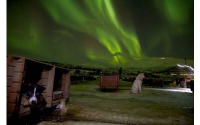 Immagine: 1_Nicola Sperandio_Aurora Boreale in Norvegia