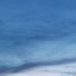 Immagine: 1_Olivia Olivo_dalla Terrazza1