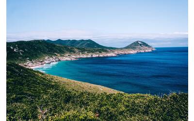 Immagine: 1_pexels_Costa - Brasile