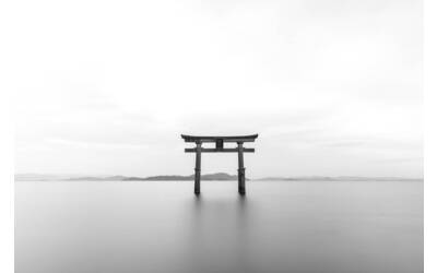 Immagine: 1_Pixabay_Tori-Giappone