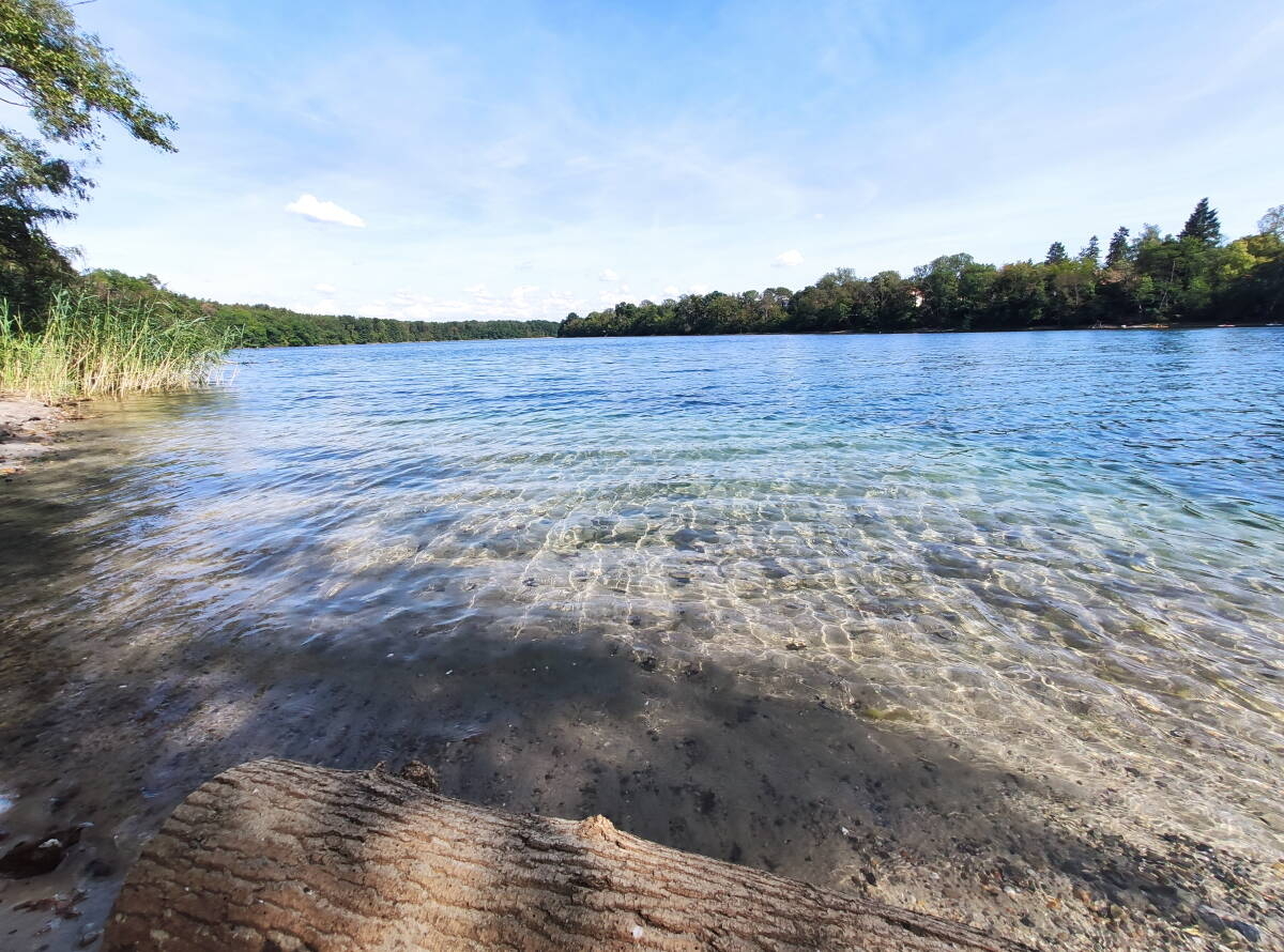 Immagine: 1a_Escursione nella zona dello Straussee