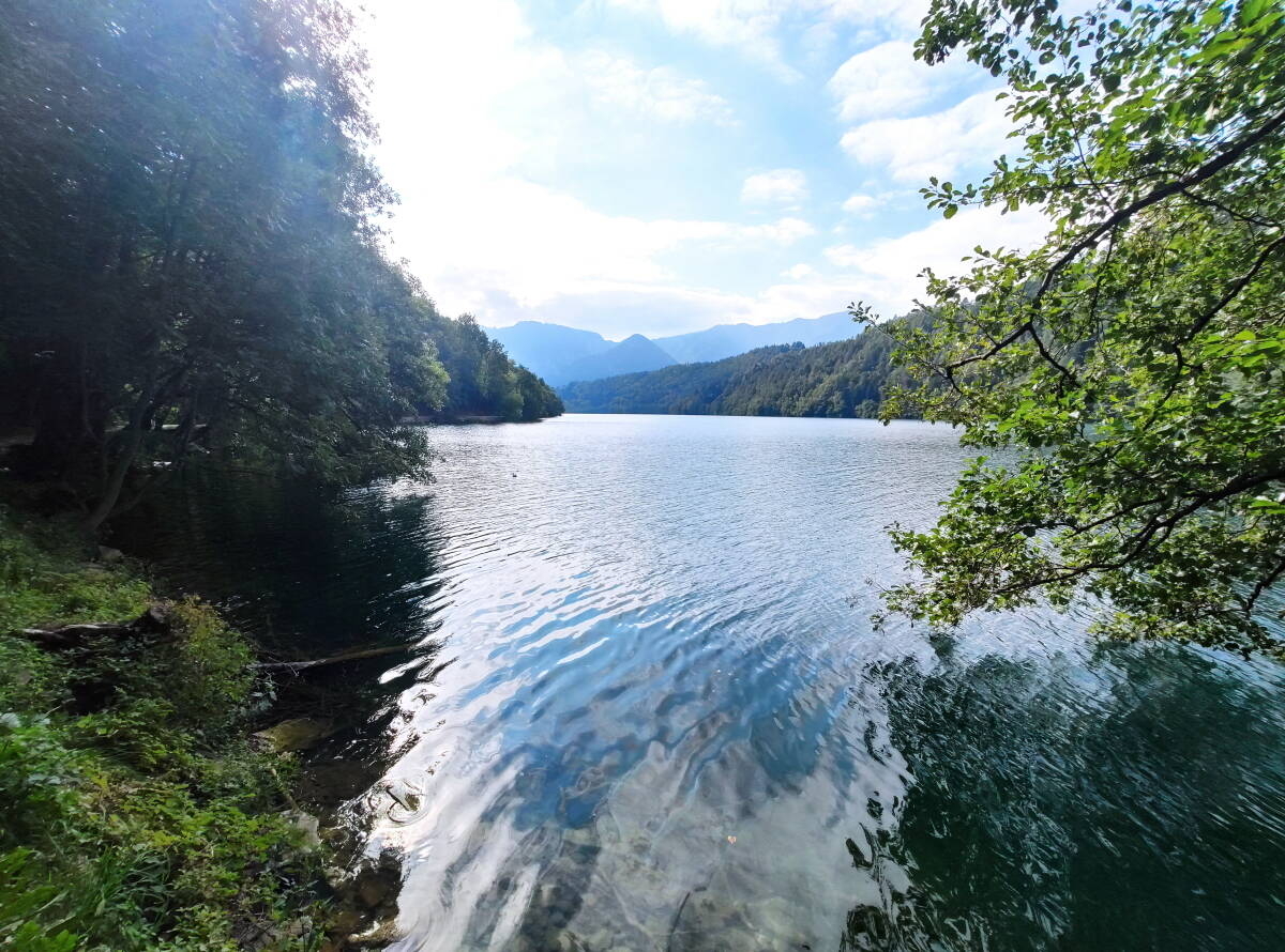 Immagine: 1a_Passeggiata lungo il Lago di Levico