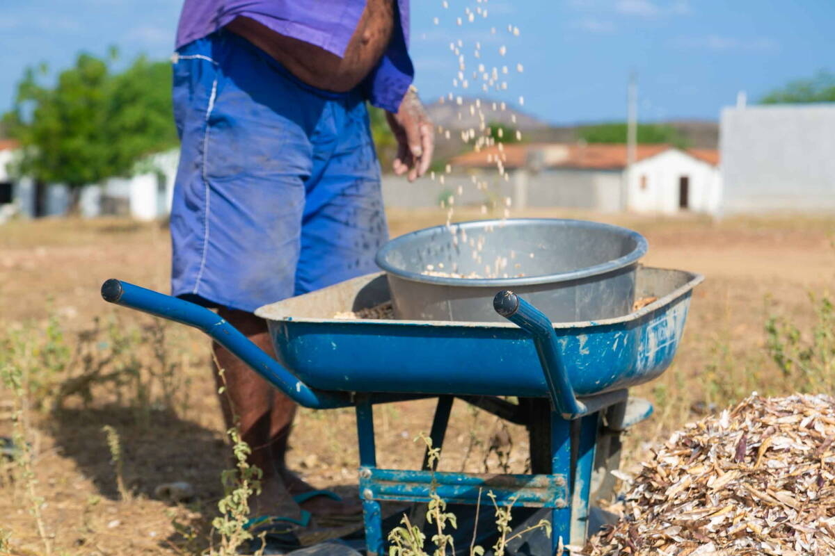 Immagine: 2_76214b71-b333-4dc1-8f36-949820ed233a