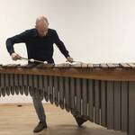 Immagine: 2_Alessandro Petri_Alessandro e la Marimba