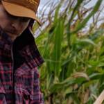 Immagine: 2_Luisa Pedron Paoli_nei campi