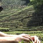 Immagine: 2_Marco Mazzola_Marco e le risaie