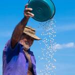 Immagine: 2_Monica Bonadiman_nei campi (2)