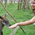 Immagine: 2_Noemi Lavorato_b