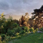 Immagine: 2_Rosanna Dematté_vista da casa