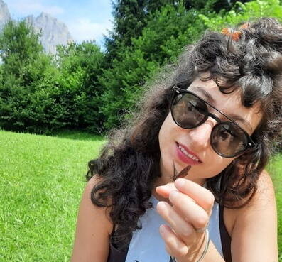 Immagine: 2aa1_. In Valle di Primiero, Trentino