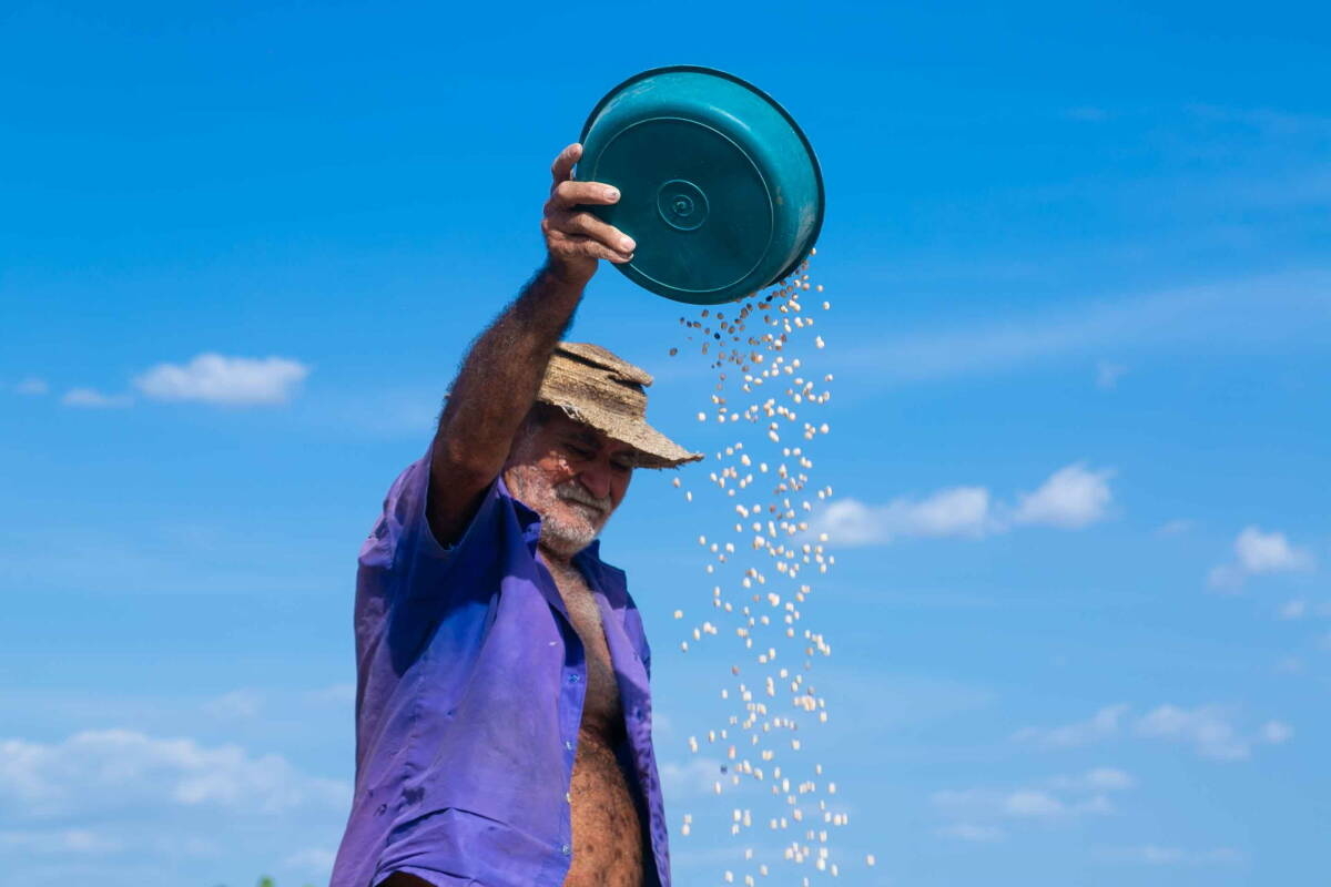 Immagine: 3_9V9A4905