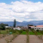 Immagine: 3_Dario Chilovi_terreno 