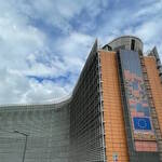 Immagine: 3_Elisabetta Degiampietro_palazzo