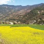 Immagine: 3_Federica Riccadonna_Nepal