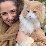 Immagine: 3_Martina Amadei_gatto