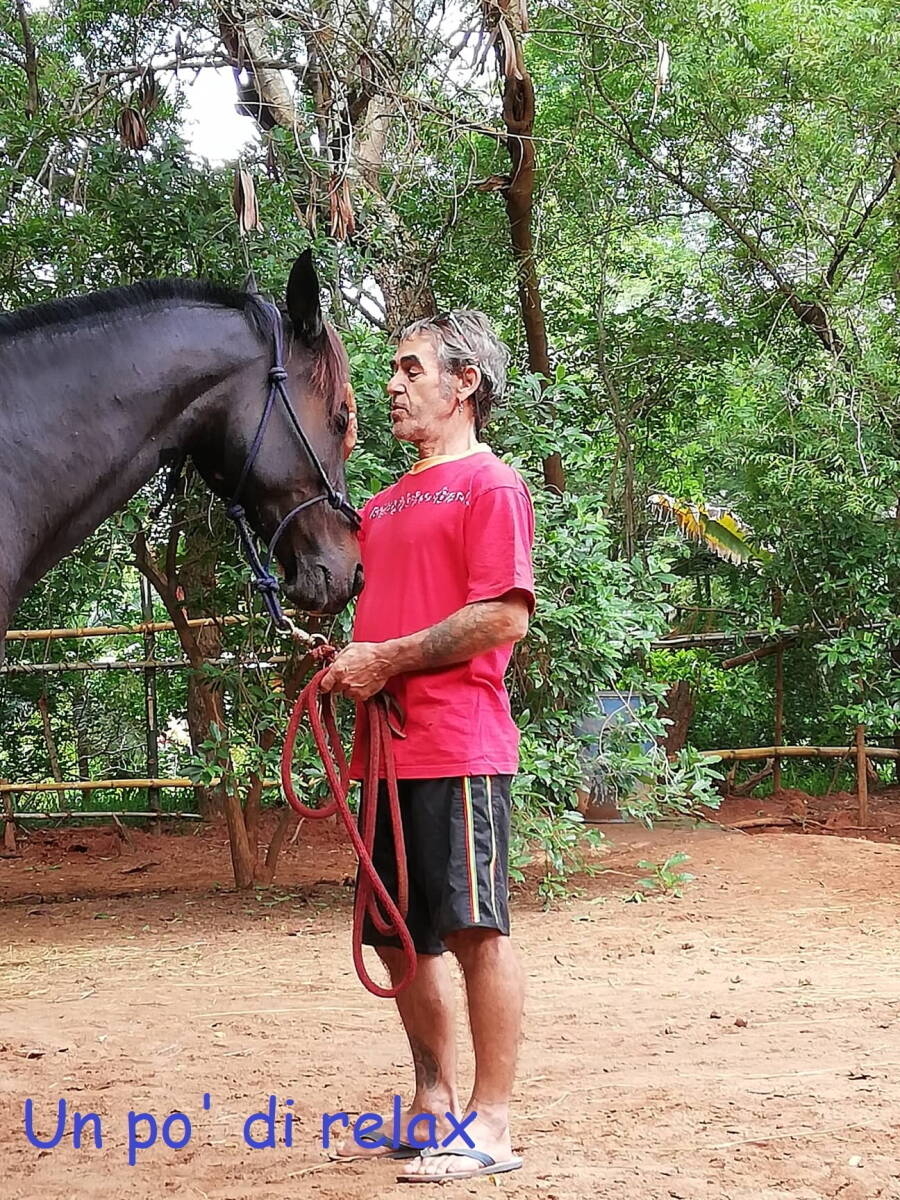 Immagine: 44896700_881904915335955_517888595365724160_n