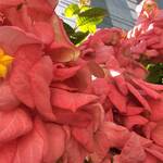 Immagine: 4_Anna Pegoretti_grattacielo