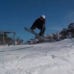 Immagine: 4_Marcella Zandonai_"Prima, unica ed ultima sciata, sulle Alpi Australiane, fra gli alberi della gomma innevati"