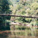 Immagine: 4_Marco Masini_ponte nella Giungla