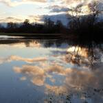 Immagine: 4_Mirtis Conci_Riserva naturale “Weidenwiesen”_Ph. Alberto Deponti