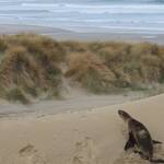 Immagine: 4_Noemi Lavorato_d