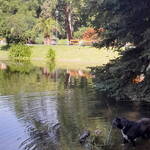 Immagine: 5_Alessandro Livio_parco vicino casa