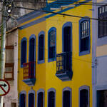 Immagine: 5_Anna Pegoretti_Olinda