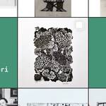 Immagine: 5_Arianna Fracalossi_Instagram @archiviofogolino