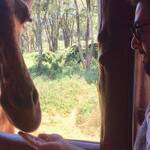 Immagine: 5_Rafael Moser_Rafael e la giraffa (2)