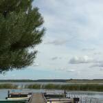 Immagine: 5_Virginia Trinco_Molo al lago