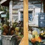 Immagine: 6_Agata dal Ri_Fresh_ flowers