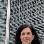 Immagine: 6_Elisabetta Degiampietro_bandiere